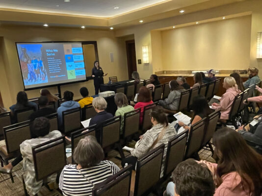 Presenter addressing room of conference participants
